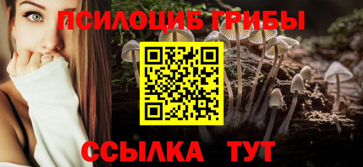 Псилоцибиновые грибы Psilocybe Обь