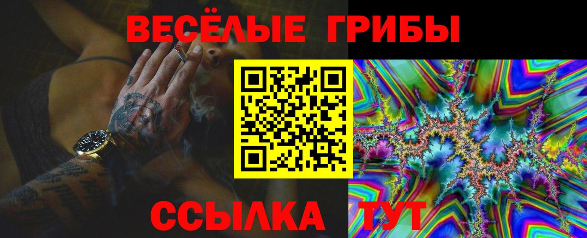 Обь  Галлюциногенные грибы Psilocybe  Вход с VPN 